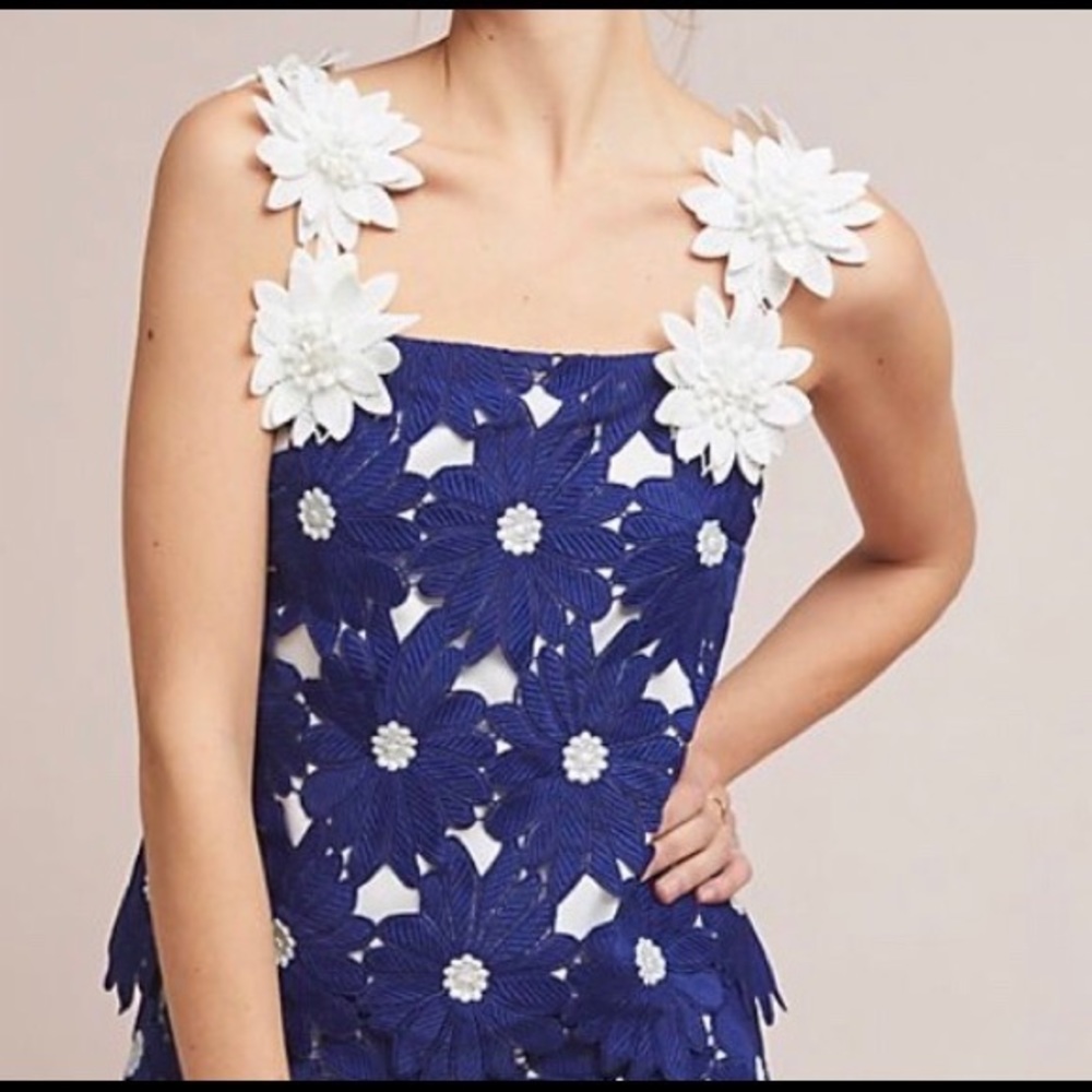 NWT Hutch Daisy Lace Top